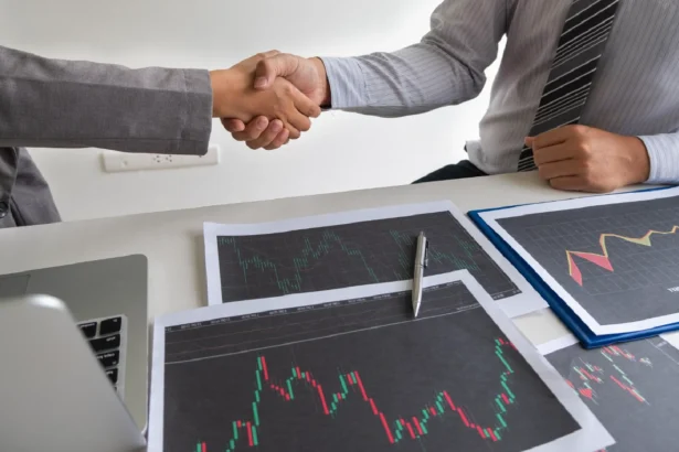 hak pemegang saham minoritas