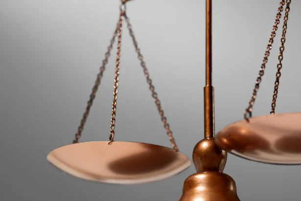 apa itu legal opinion