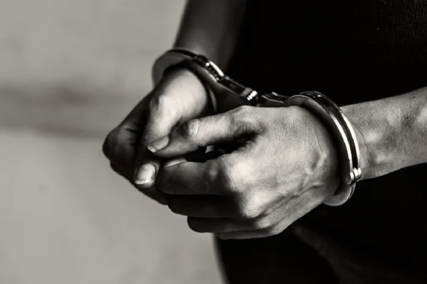 tindak pidana korporasi