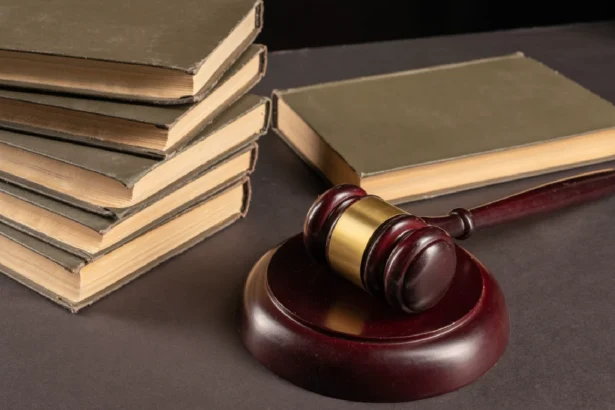 jenis pengujian undang-undang