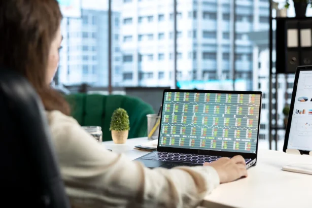 perlindungan investor