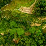 penyelesaian sengketa lingkungan