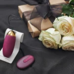 aturan penjualan sex toys di indonesia secara hukum